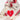 Jordan 4 Valentine’s Day Sierra Red